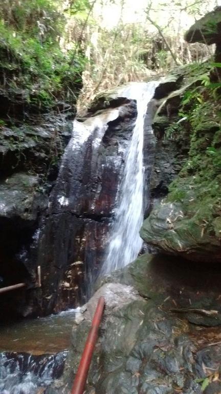 Pousada Mata Da Brauna Консейсан-ду-Мату-Дентру Екстер'єр фото
